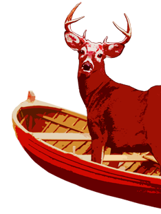 Deer in Boat